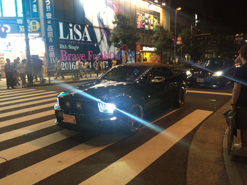 Illustration for article titled Japan: a Dogapult Trip Part 4: Akihabara by Night!